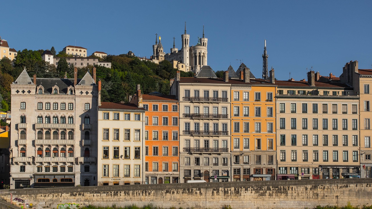 lyon-3598618_1280.jpg